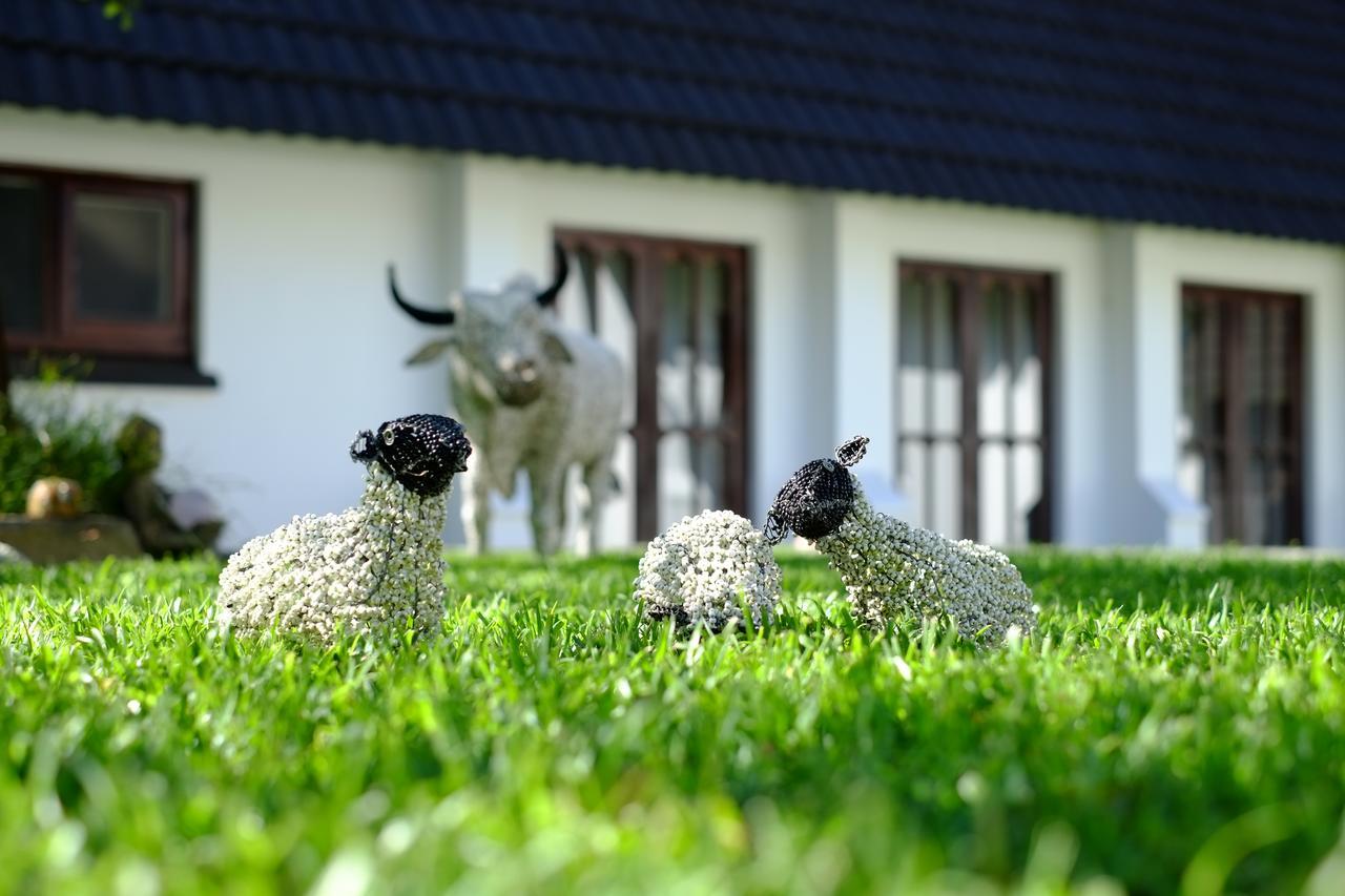 Kilmorna Manor Guest House Shoemanskloof 외부 사진